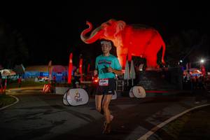 BIB: 
                            <button type="button" onclick="openModal(26552021)" class="btn btn-primary btn-sm float-right btn-popup" data-toggle="modal" data-target=".modal-high-quality">
                        <i class="fas fa-shopping-cart"></i> Add to Cart
                    </button>
                                            <button type="button" onclick="isThisMe(26552021, true)" class="btn btn-success btn-sm float-right btn-popup btn-isme hidden" data-toggle="tooltip" data-placement="bottom" title="นี่คือรูปของคุณใช่ไหม คลิกที่นี่เพื่อเอาเข้าอัลบั้ม">
                        <i class="fas fa-plus"></i> Add to album
                    </button>
                    <button type="button" onclick="isThisMe(26552021, false)" class="btn btn-warning btn-sm float-right btn-popup btn-isnotme hidden">
                        <i class="fas fa-ban"></i> Remove from album
                    </button>